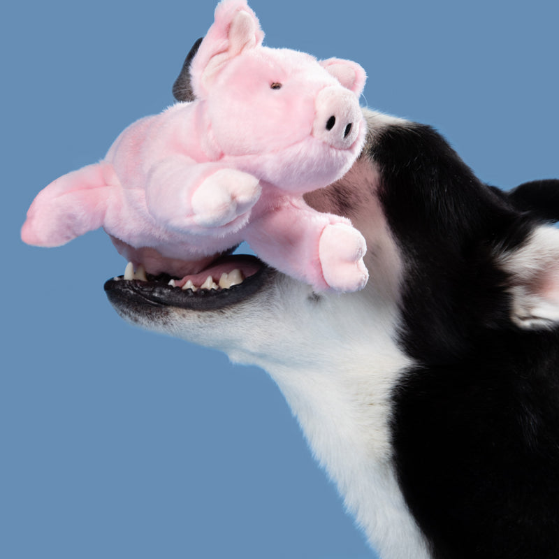 Fluff & Tuff Petey Pig- durable, plush dog toy