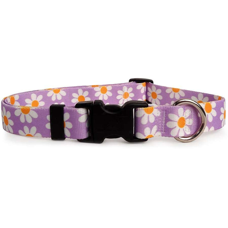 Lavender Daisy Dog Collar