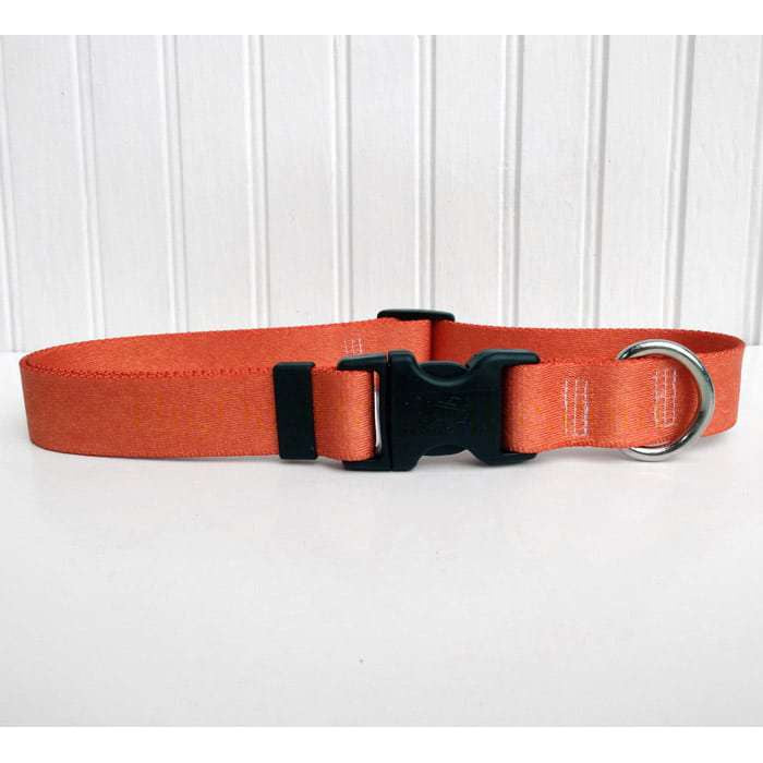 Solid Copper/Salmon Colored Adjustable Dog Collar