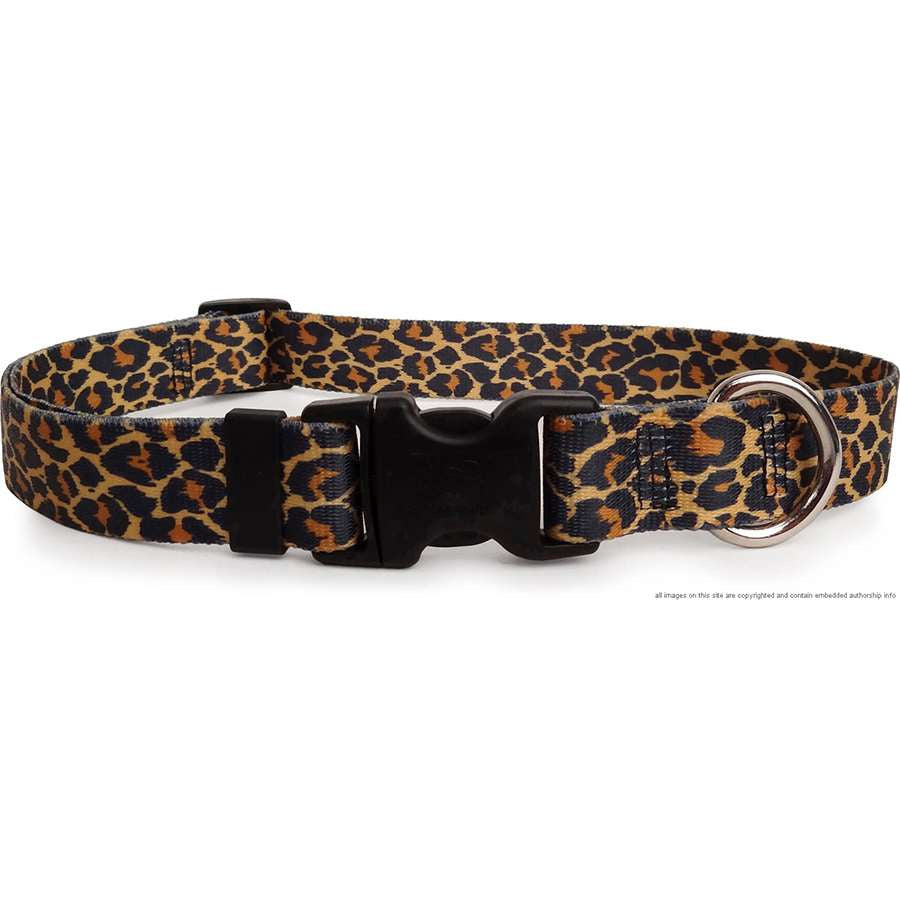 Leather leopard 2024 print dog collar