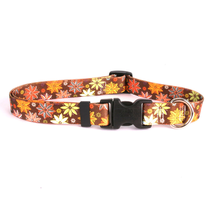 Autumn Flowers Adjustable or Martingale Dog Collar