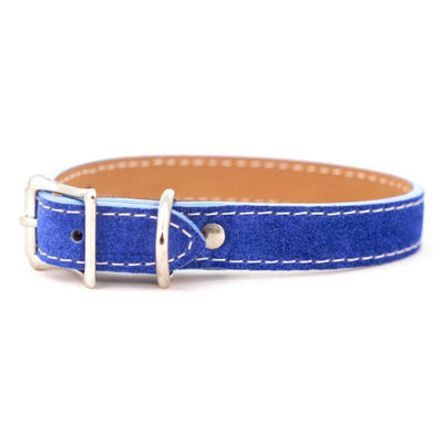 Saratoga Suede Royal Blue Leather Dog Collar- USA made luxury dog collar