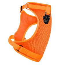 Canada Pooch Everything (Orange) No-Pull Harness for Dogs