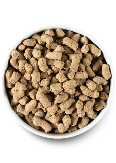 Open Farm Freeze Dried Grass-Fed Beef Morsels for Dogs
