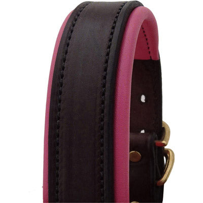 Perri's Brown Engraved Padded Leather Dog Collar- with colorful padding- USA made
