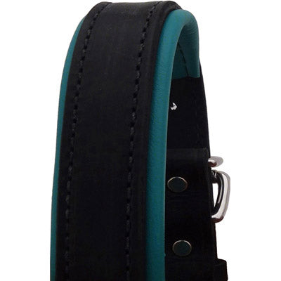 Perri's Black Engraved Padded Leather Dog Collar- with colorful padding- USA made