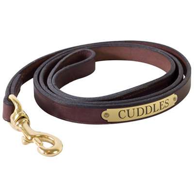 Classic Flat Leather Dog Leash with Engraved Plate