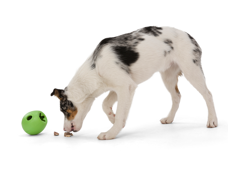 West Paw Rumbl (Puzzle) Durable Dog Toy - MADE IN USA