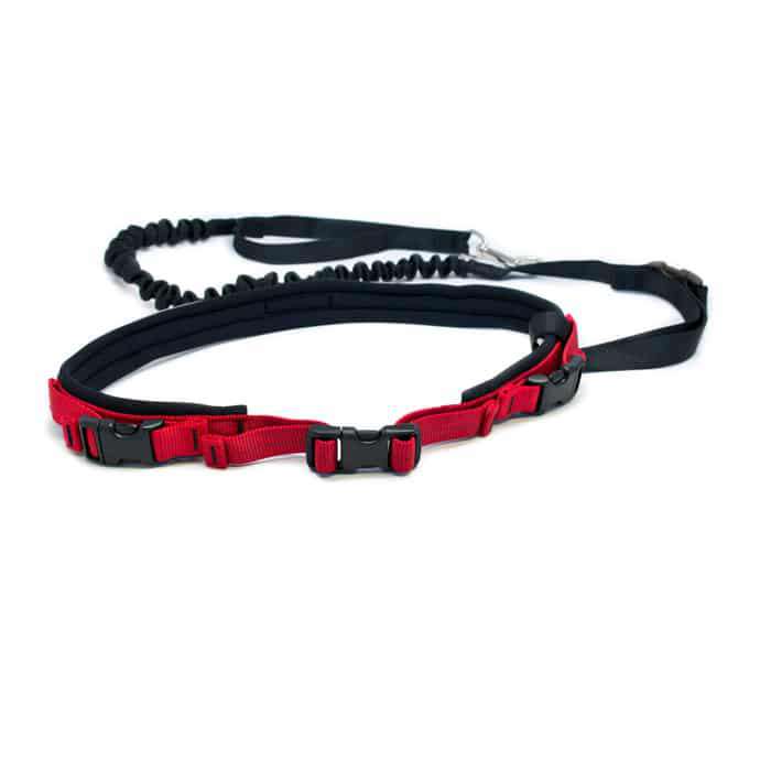 Spindrift leash 2025