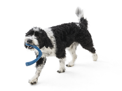 West Paw Seaflex Snorkl - eco-friendly dog toy