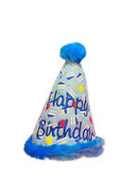 Birthday Hat Toy for Dogs