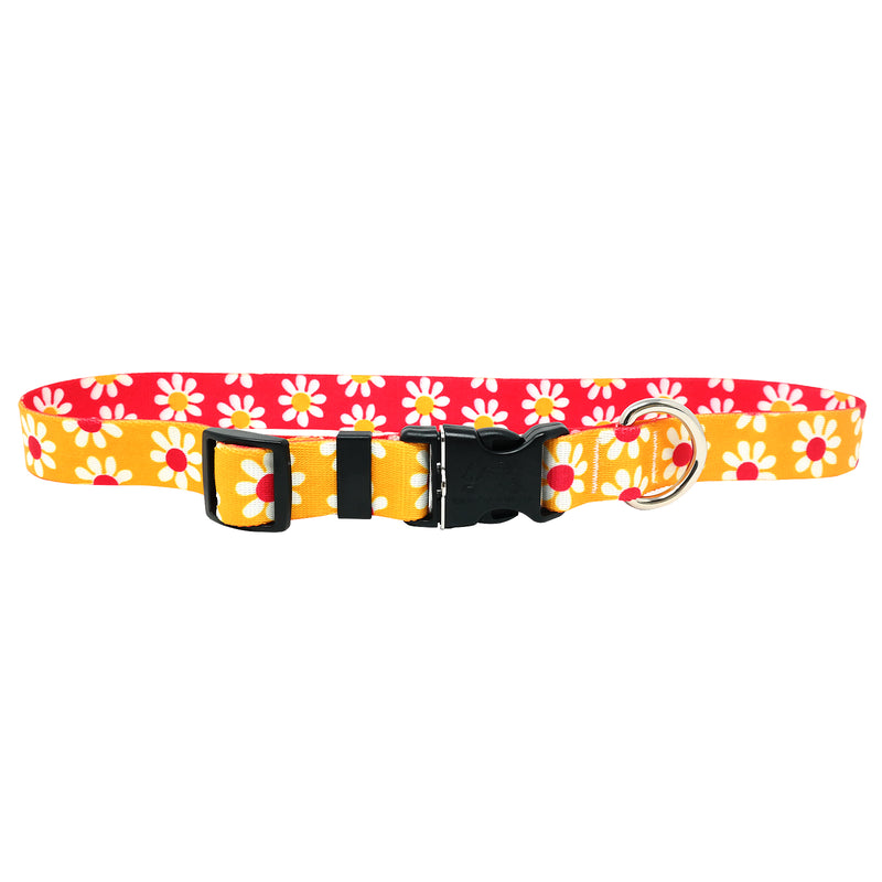 Daisy (YD) Goldenrod & Magenta Adjustable Dog Collar - MADE IN USA
