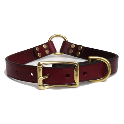 Leather center 2025 ring dog collar