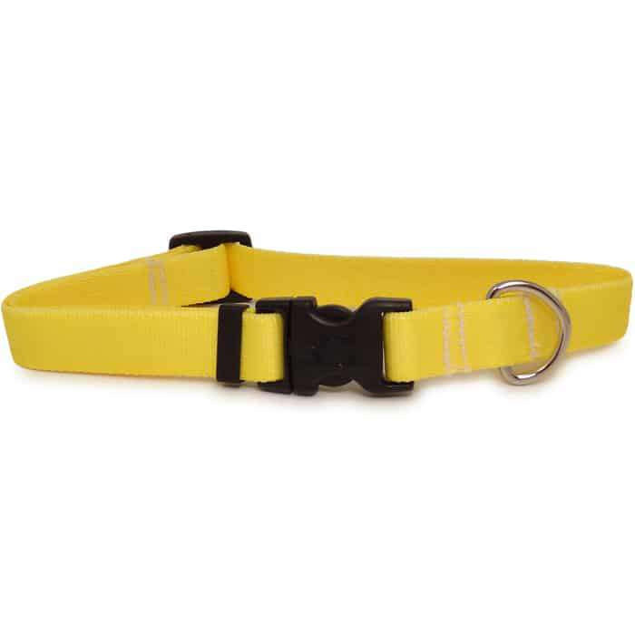 Solid Yellow Dog Collar- adjustable or martingale- UA made