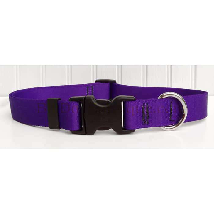 Solid Purple Dog Collar- adjustable or martingale
