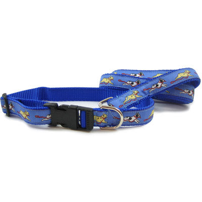 Frenchie collars outlet and leashes