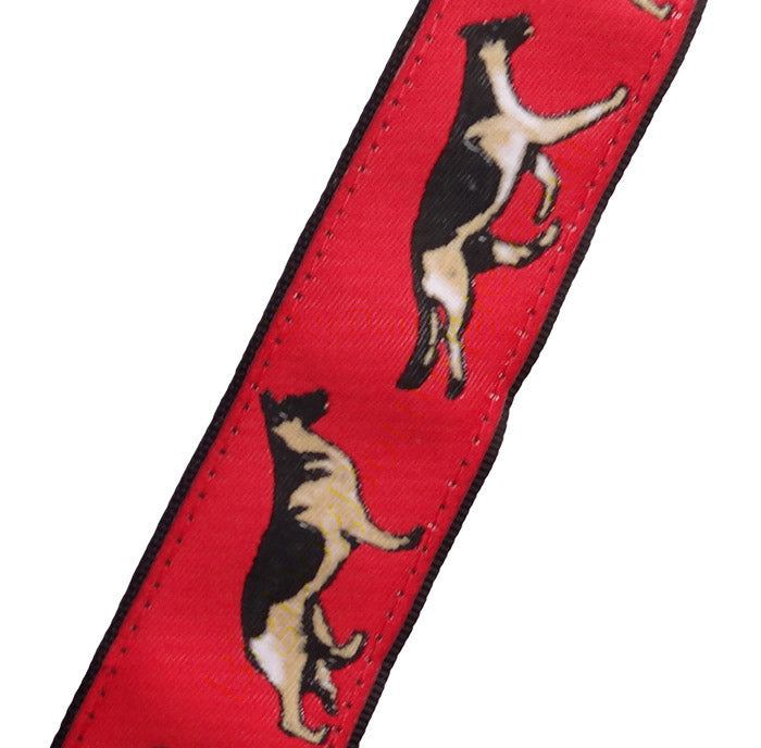 German Shepherd Dog Collar or Leash