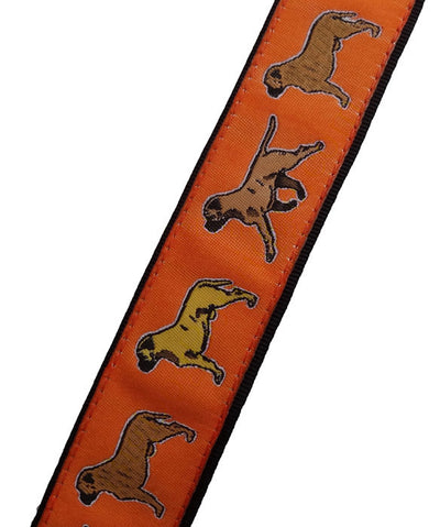 Bull Mastiff Breed Dog Collar or Leash