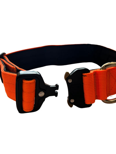 Boss Dog Tactical Dog Collar- safety orange