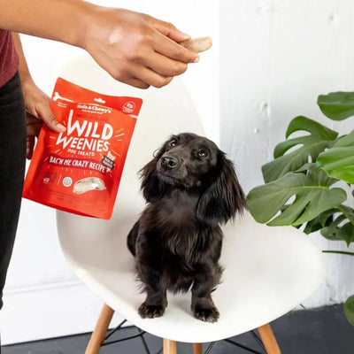 Stella & Chewy's Wild Weenies Freeze Dried Dog Treats- Bac'n Me Crazy Recipe
