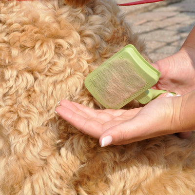Safari Self-Cleaning Slicker Brush for Dogs (Medium)