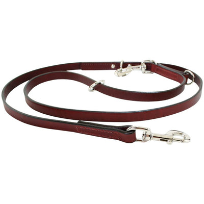 Multi-Function All Weather Dog Leash 6 ft.