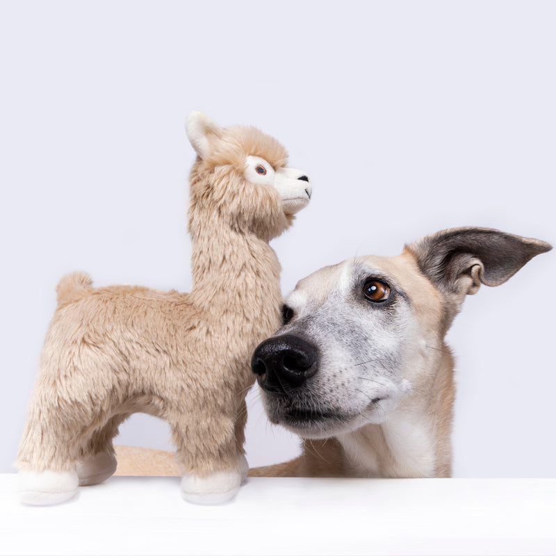 Fluff & Tuff Inca the Alpaca Plush Dog Toy