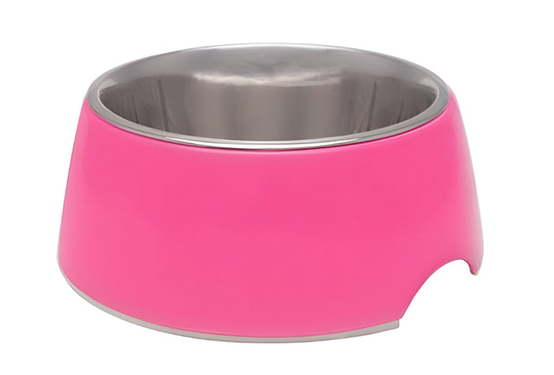 Retro Feeding Bowl for Dogs & Cats- stainless steel