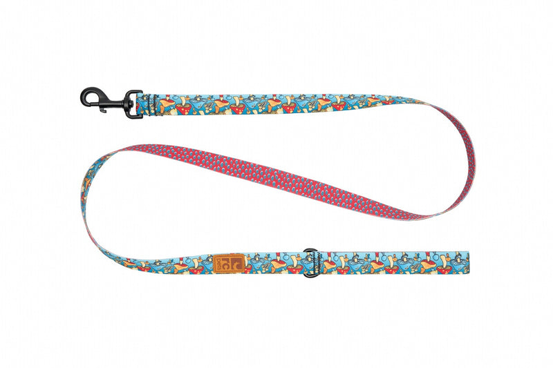 RC Pets EcoLeash 1"x5"