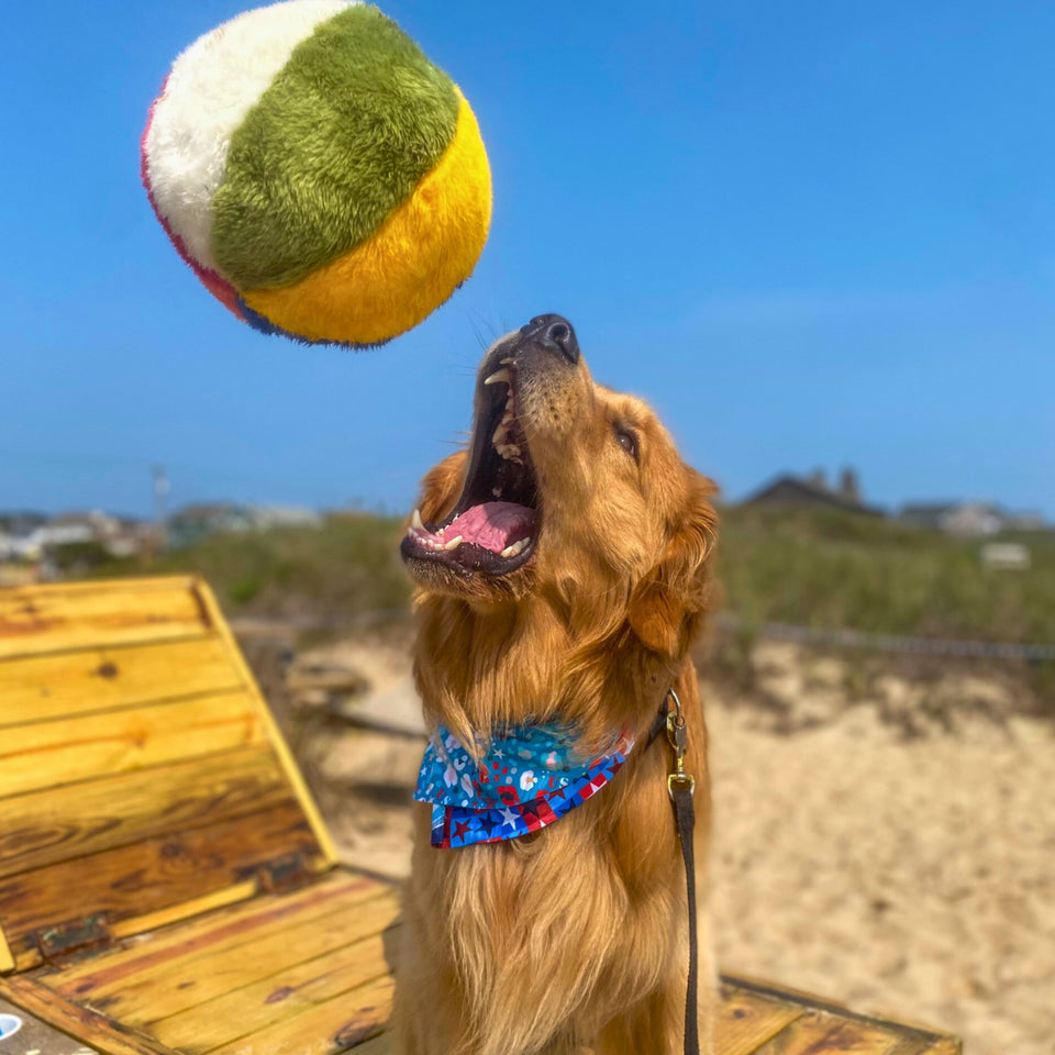 Fluff Tuff Beach Ball Plush Dog Toy BigDog Boutique