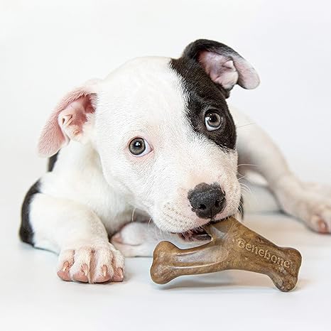 Benebone Puppy Pack: Dental & Wishbone for Dogs