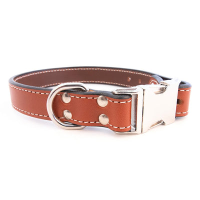 Seneca Side Release Leather Collar