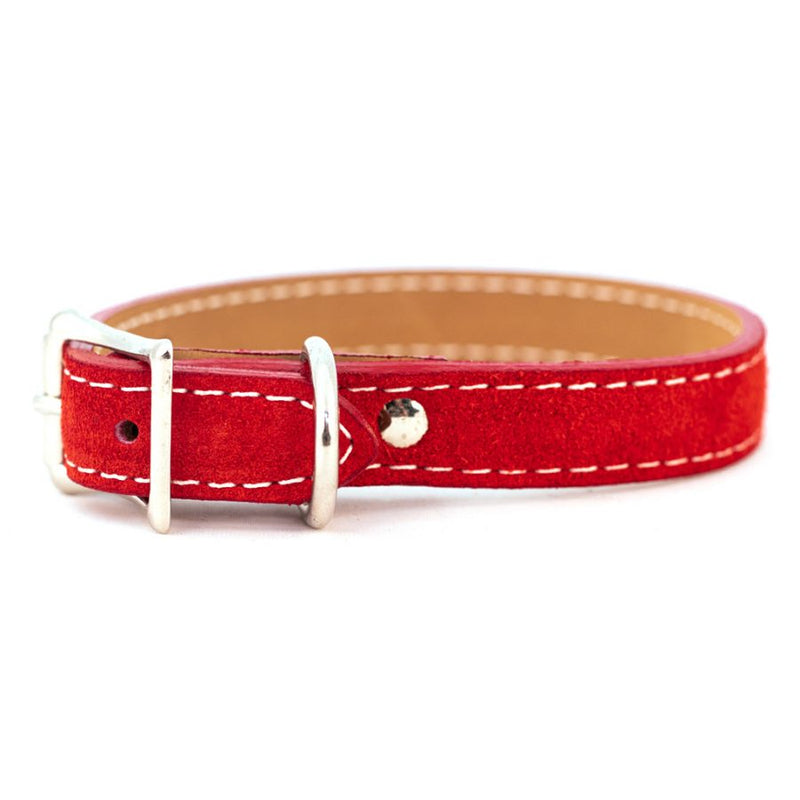 Saratoga Suede Luxury Leather Collar