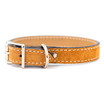 Saratoga Suede Luxury Leather Collar