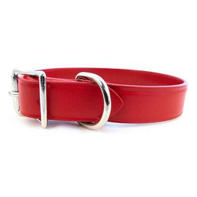 Auburn Leather Town Collar