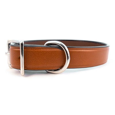 Auburn Leather Town Collar