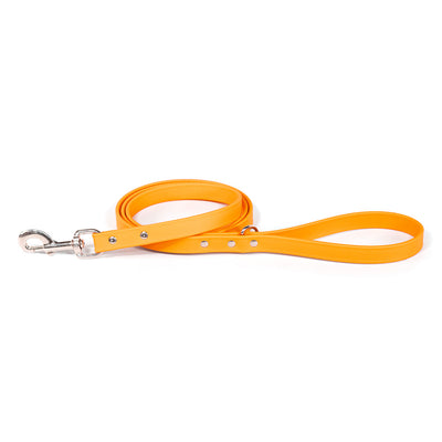 Sparky's Waterproof Leash