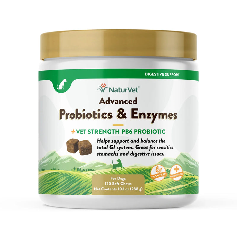 NaturVet Advanced Probiotics & Enzymes for Dogs - MADE IN USA