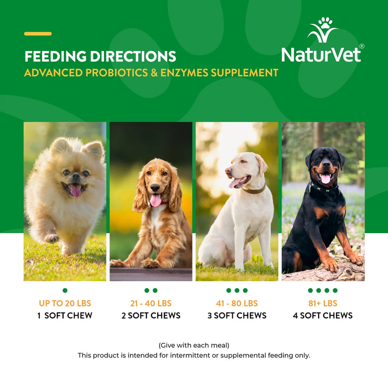 NaturVet Advanced Probiotics & Enzymes for Dogs - MADE IN USA