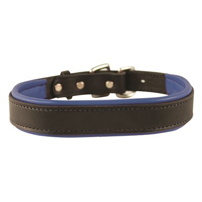 Perris Padded Leather Luxury Collar