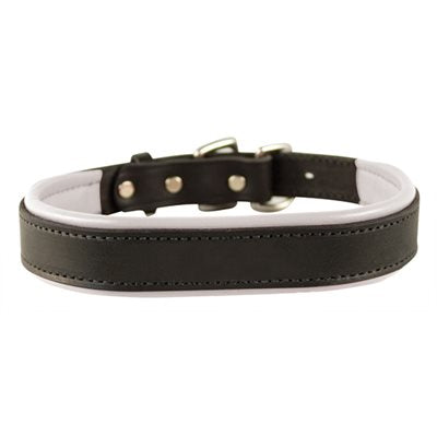 Perris Padded Leather Luxury Collar