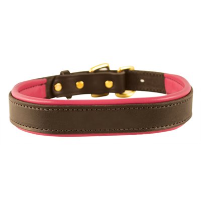 Perris Padded Leather Luxury Collar