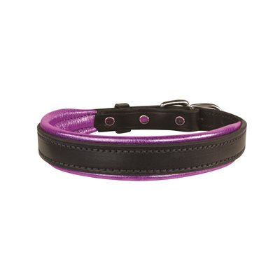 Perris Padded Leather Luxury Collar