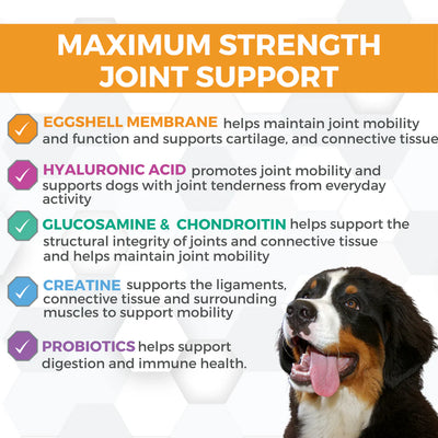 Progility Hip & Joint Support Max XLarge 60 count Supplement Chews for Dogs
