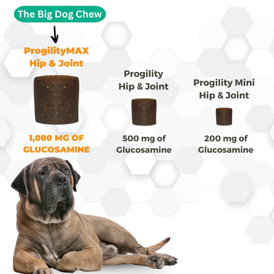 Progility Hip & Joint Support Max XLarge 60 count Supplement Chews for Dogs