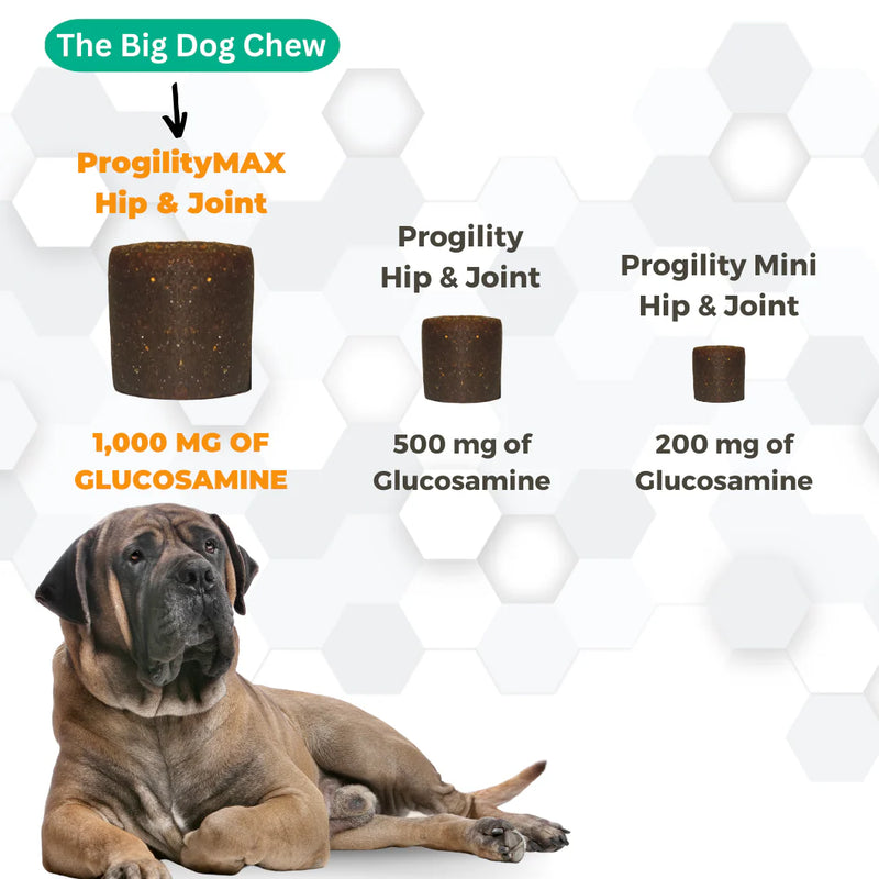 Progility Hip & Joint Support Max XLarge 60 count Supplement Chews for Dogs