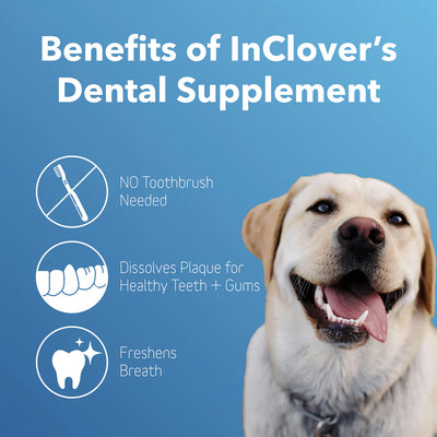 In Clover Dental Powder for Dogs