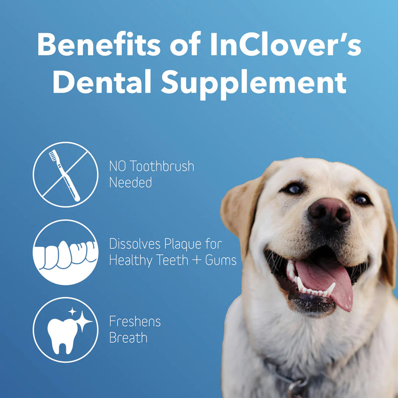 In Clover Dental Powder for Dogs