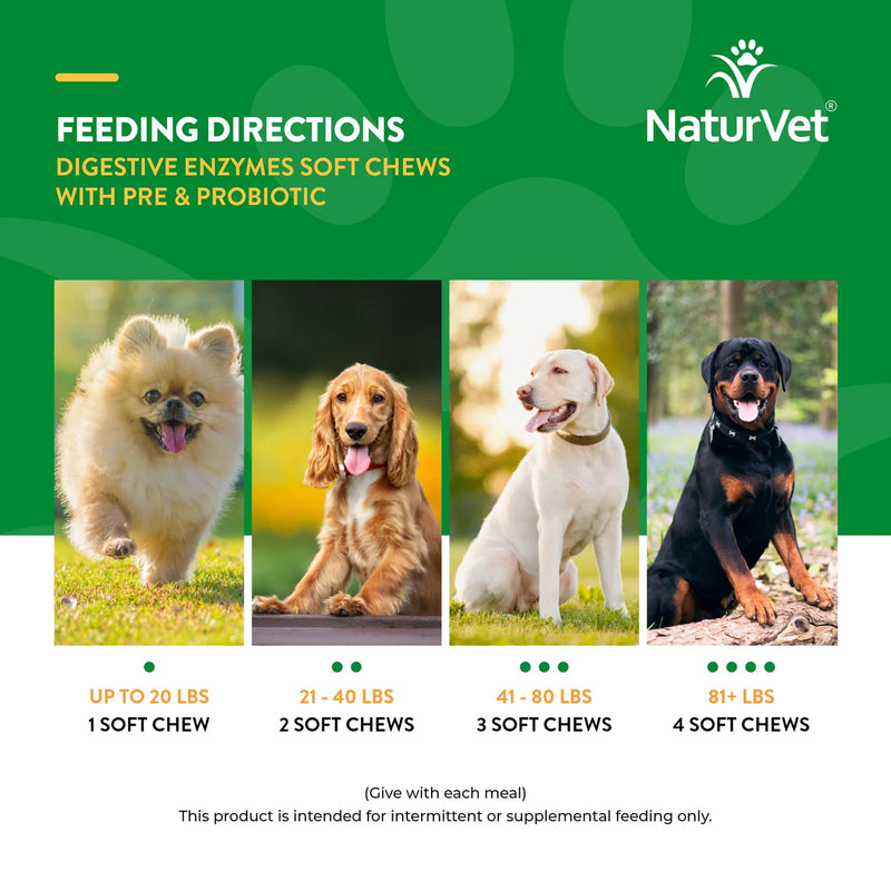 NaturVet Digestive Enzymes +Probiotic Chews (70 ct)  for Dogs