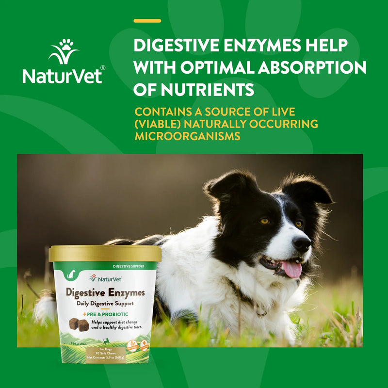 NaturVet Digestive Enzymes +Probiotic Chews (70 ct)  for Dogs